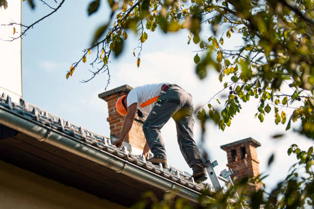 Best Emergency Roof Repair  in Clifton, IL
